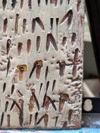 Human Code: Notation