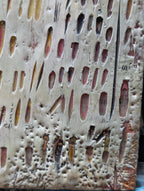 Human Code: Tally